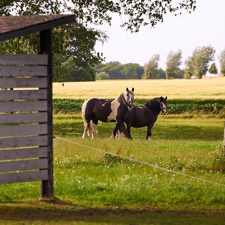 Hesselgaard Glamping Dalby Exterior foto