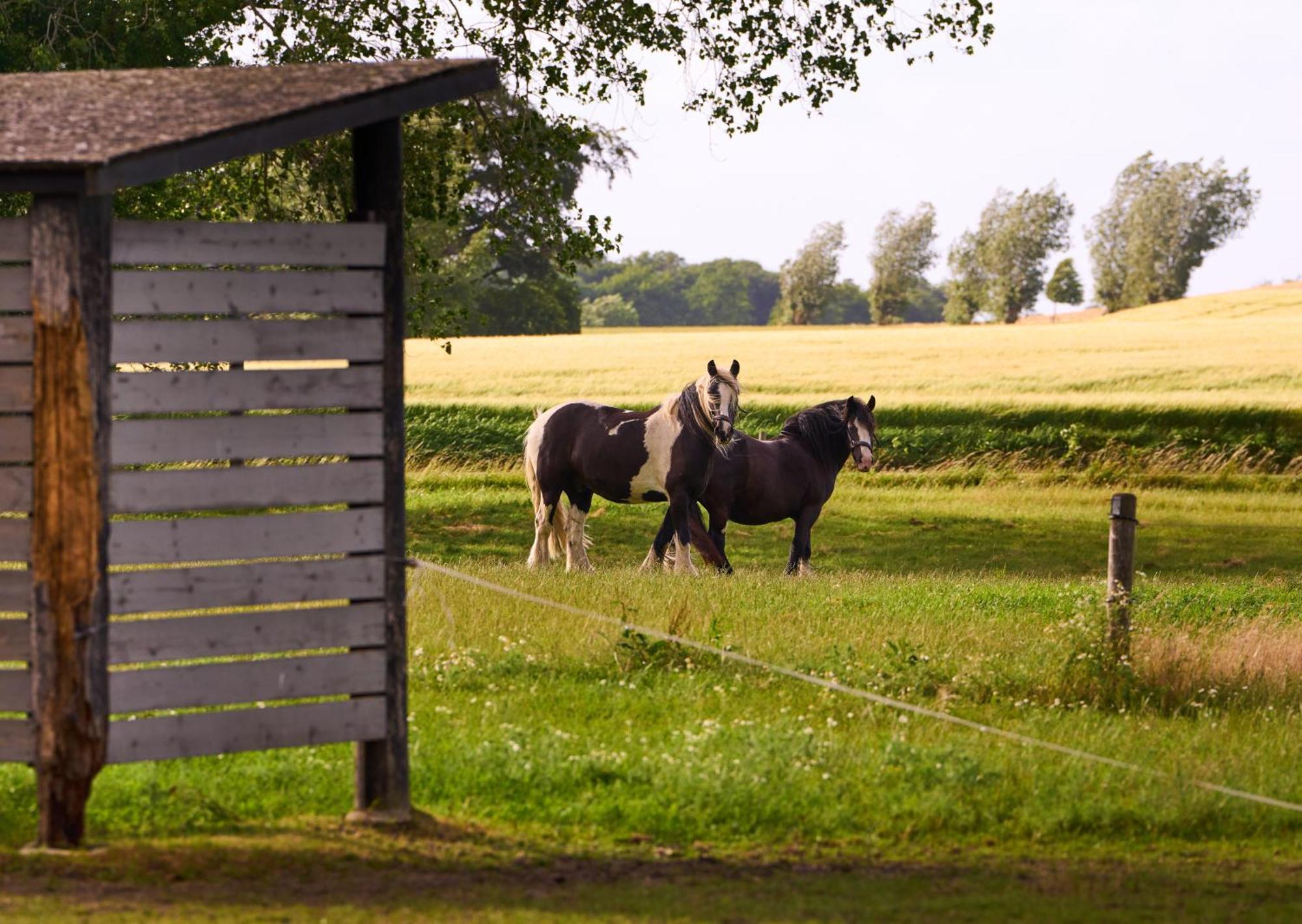 Hesselgaard Glamping Dalby Exterior foto